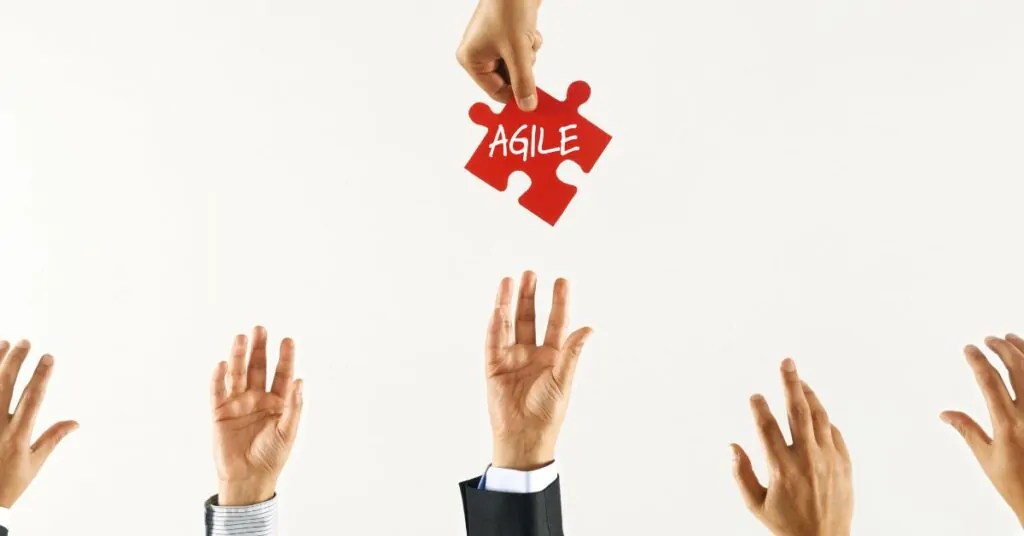 Top Agile Enterprise Solutions in Egypt